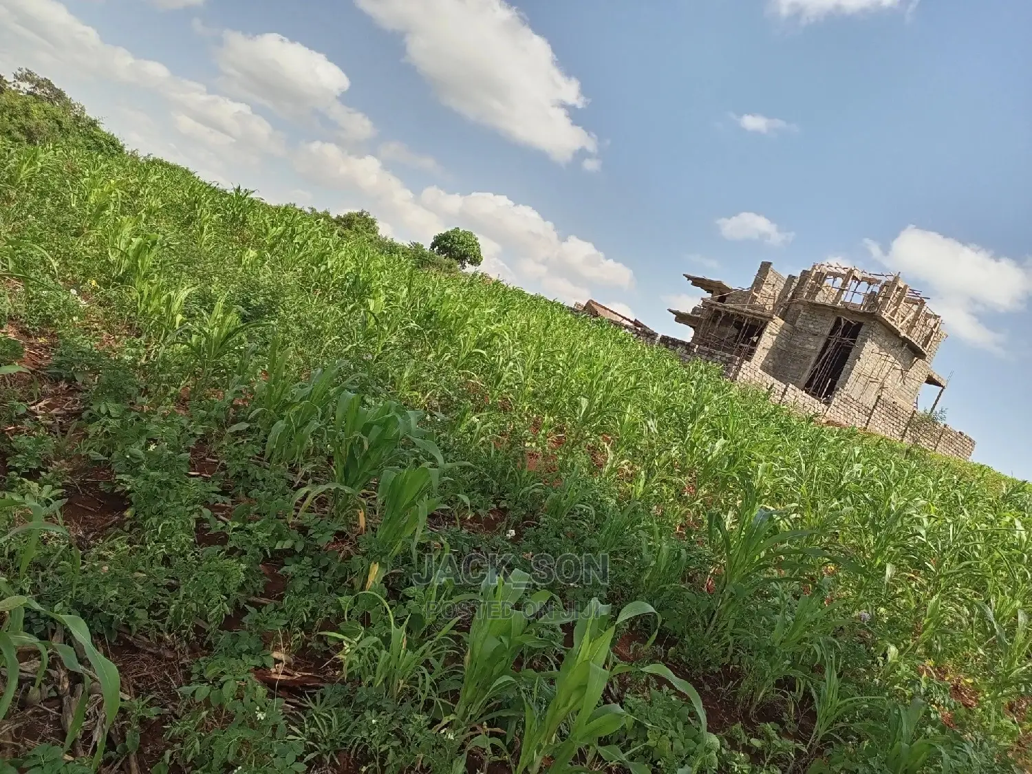 1⁄8plot With Titledeed Kangema Farmland Near Thika Greens