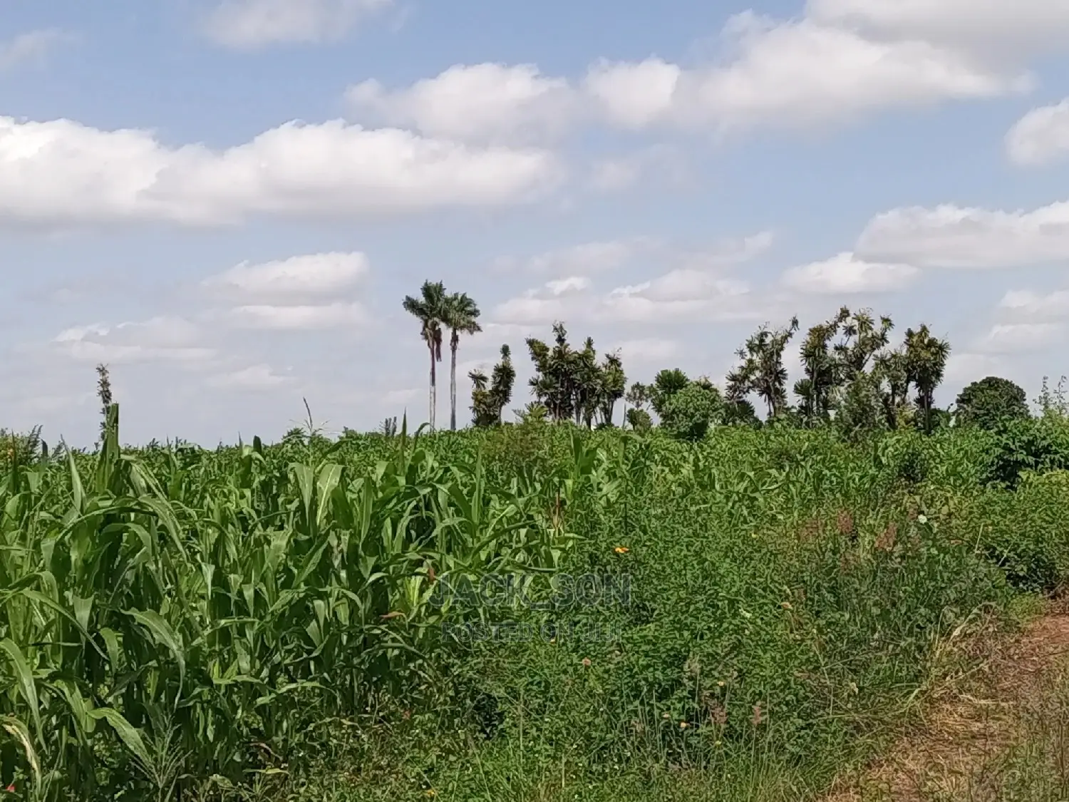 1⁄8plot With Titledeed Kangema Farmland Near Thika Greens