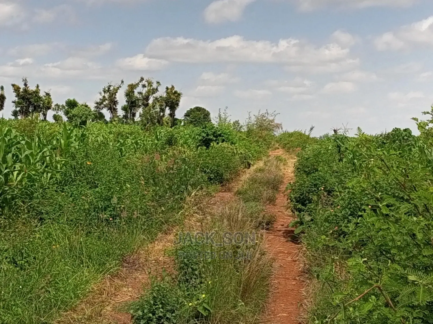 1⁄8plot With Titledeed Kangema Farmland Near Thika Greens