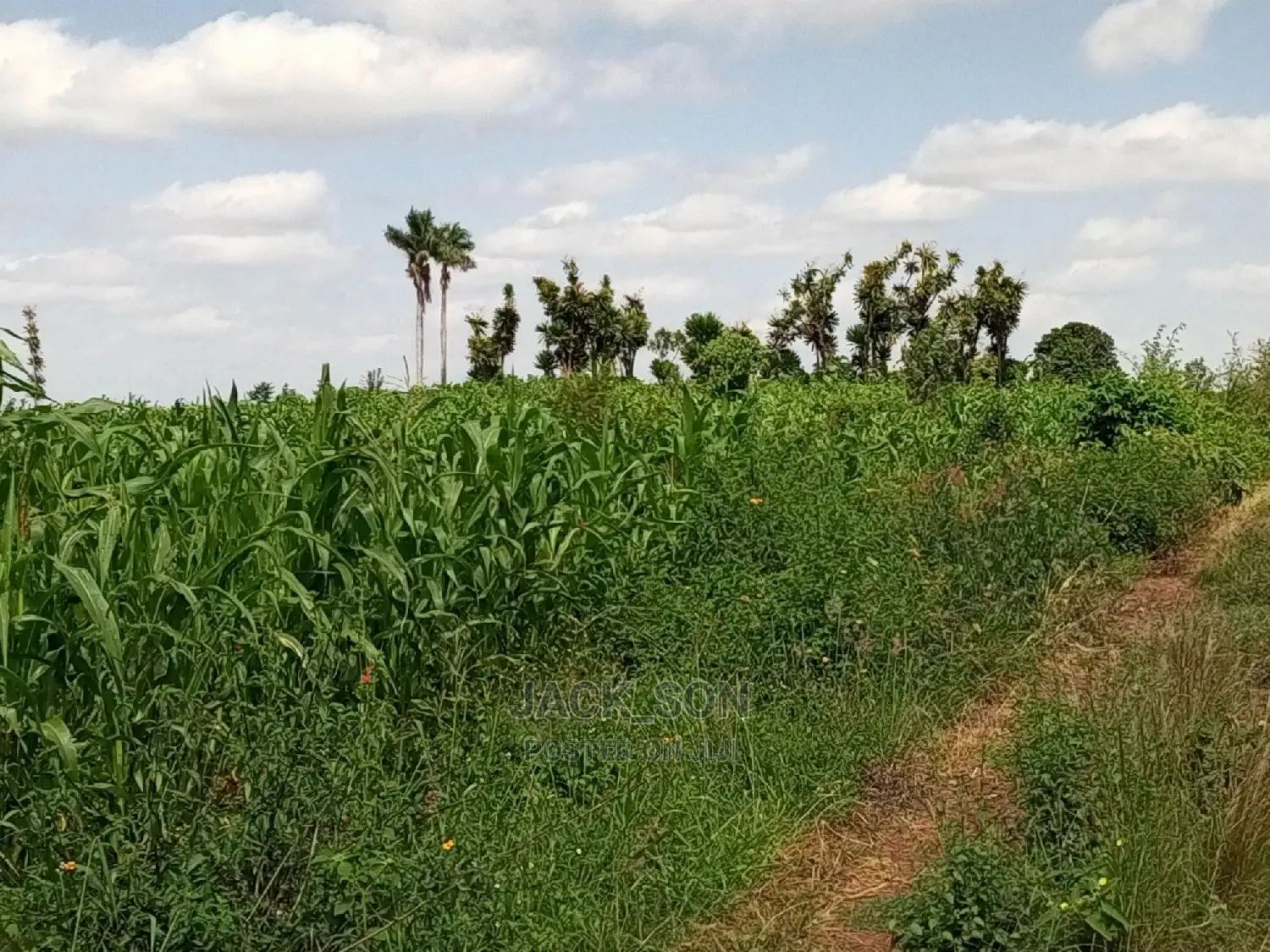 1⁄8plot With Titledeed Kangema Farmland Near Thika Greens