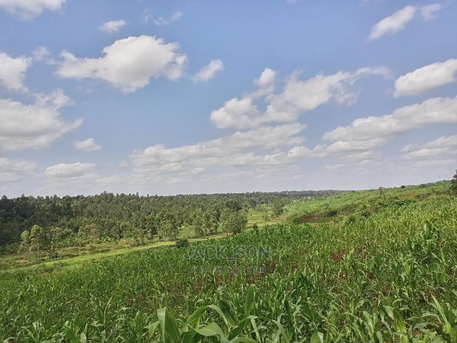 1⁄8plot With Titledeed Kangema Farmland Near Thika Greens