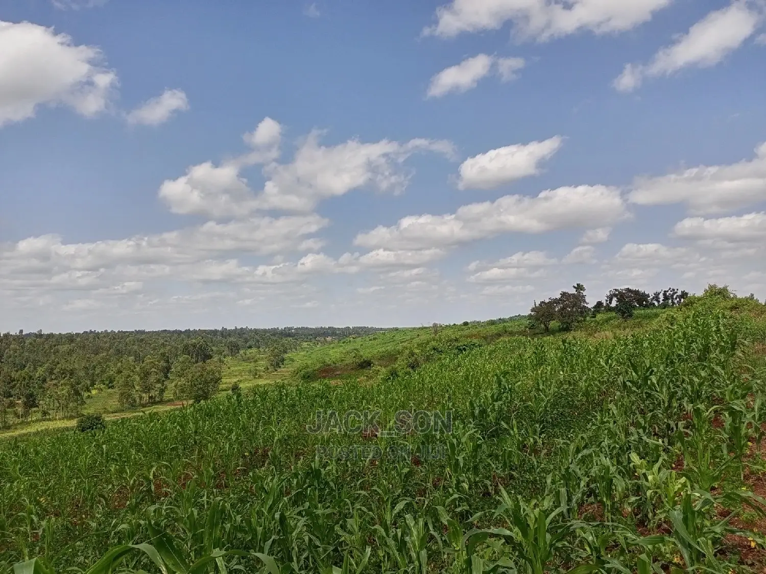 1⁄8plot With Titledeed Kangema Farmland Near Thika Greens