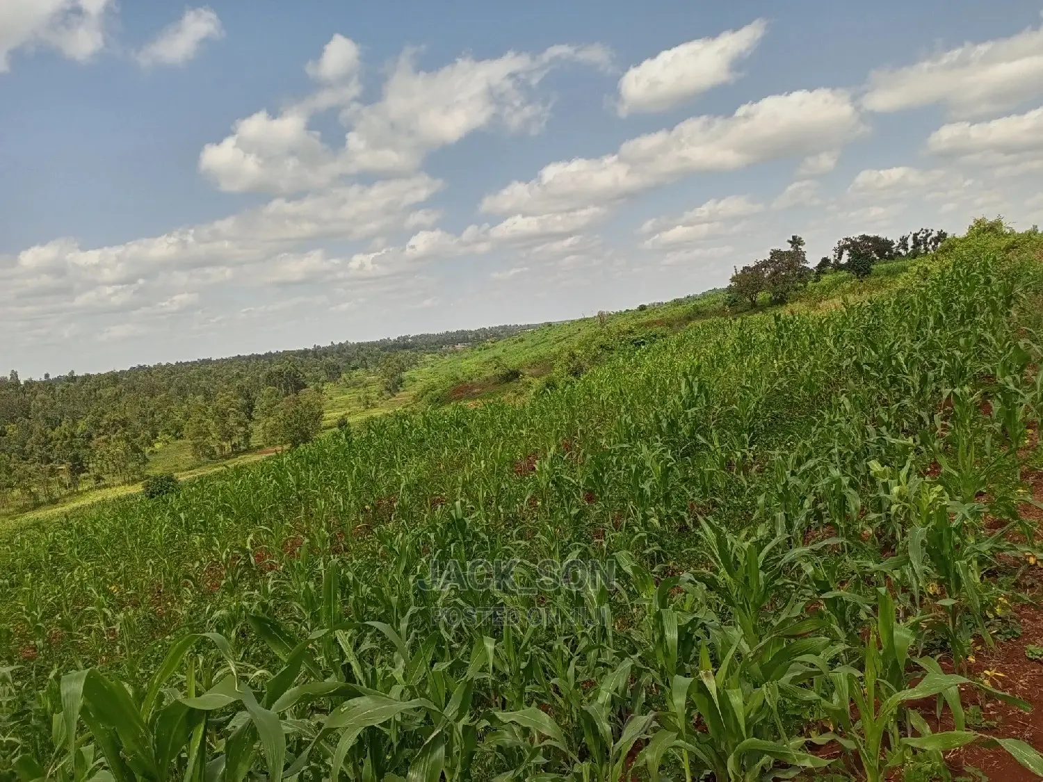 1⁄8plot With Titledeed Kangema Farmland Near Thika Greens
