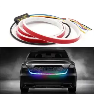 Rear Trunk Light Drl