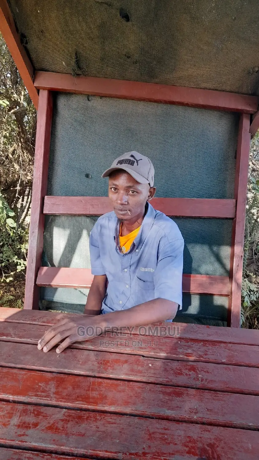 Hire Tour Driver