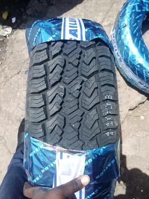 225/65r17 A/T Sailun Tyres Made in China