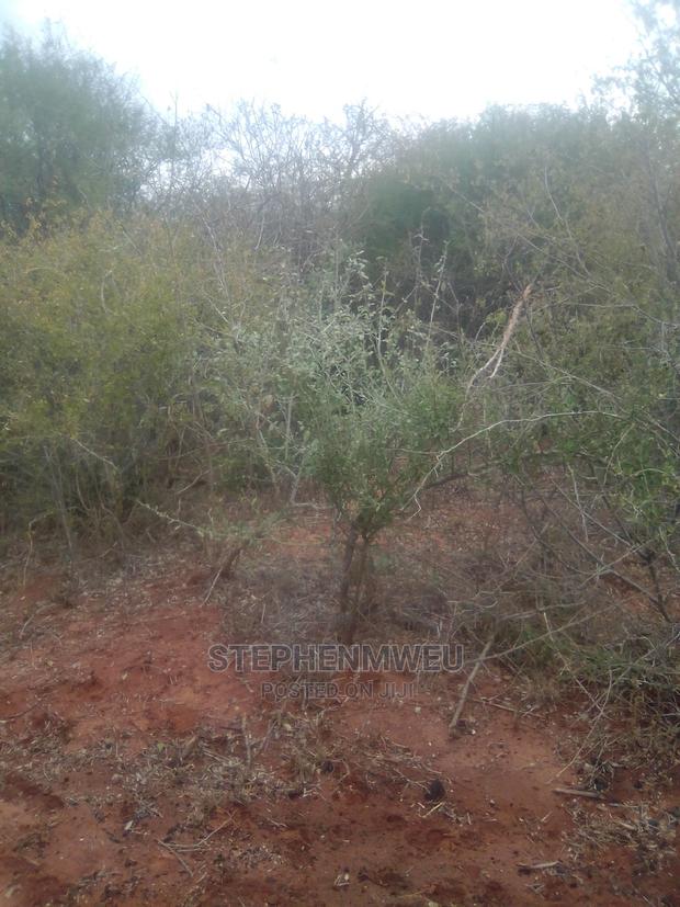 20 Acres for Sale - main view