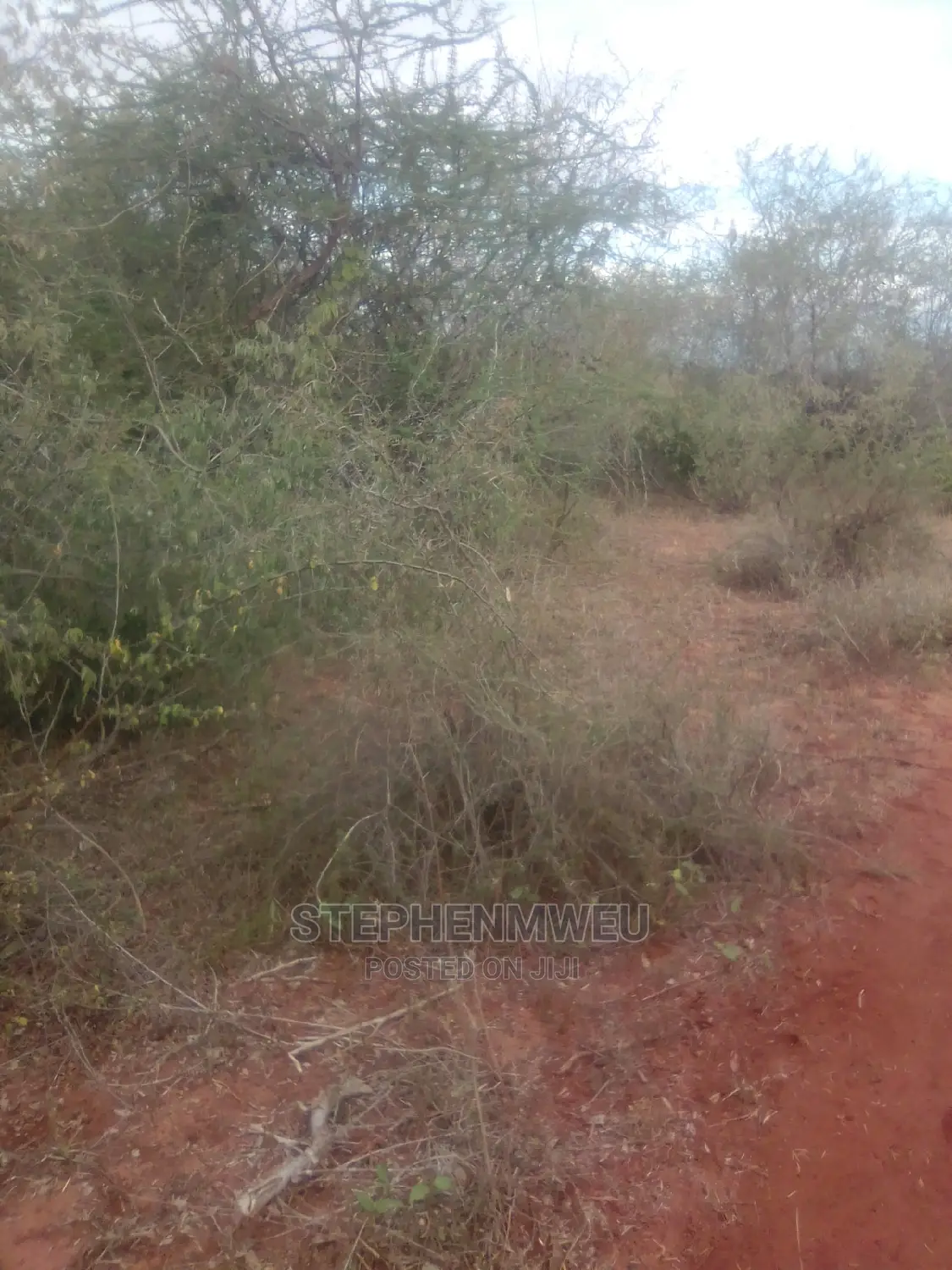 20 Acres for Sale