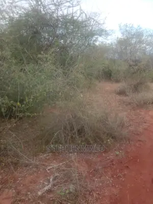20 Acres for Sale