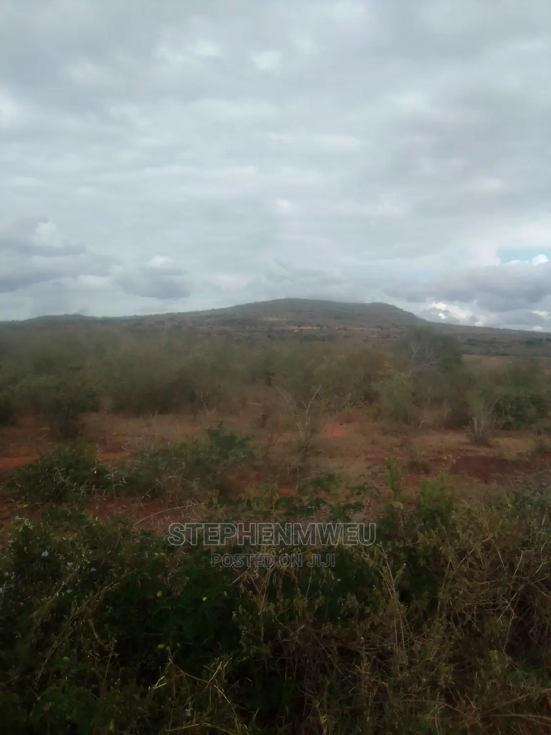 20 Acres for Sale