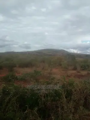 20 Acres for Sale
