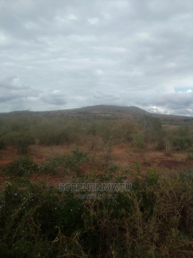 20 Acres for Sale - thumbnail 3