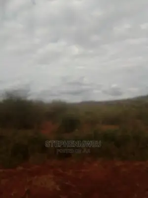20 Acres for Sale