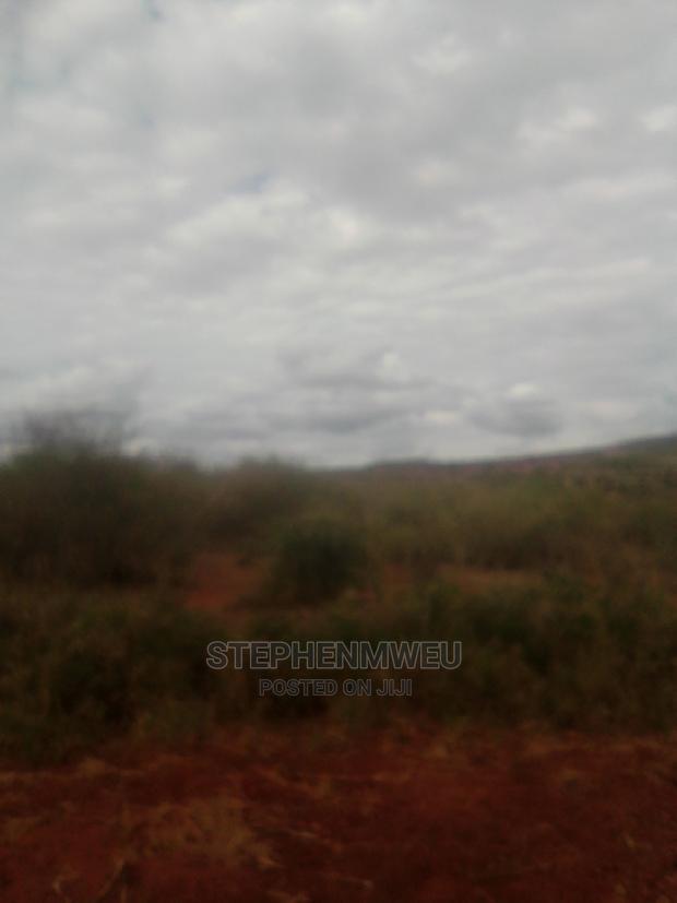 20 Acres for Sale - thumbnail 4