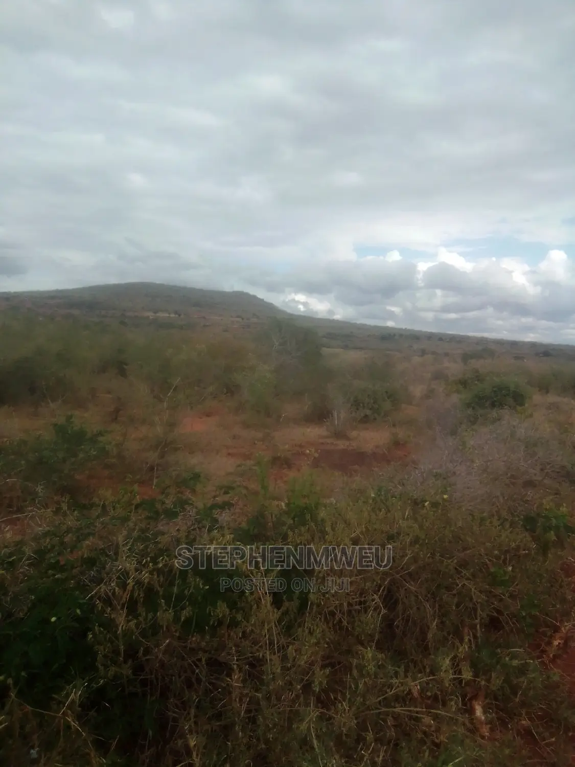 20 Acres for Sale
