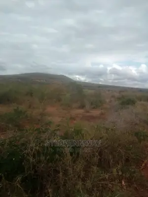 20 Acres for Sale