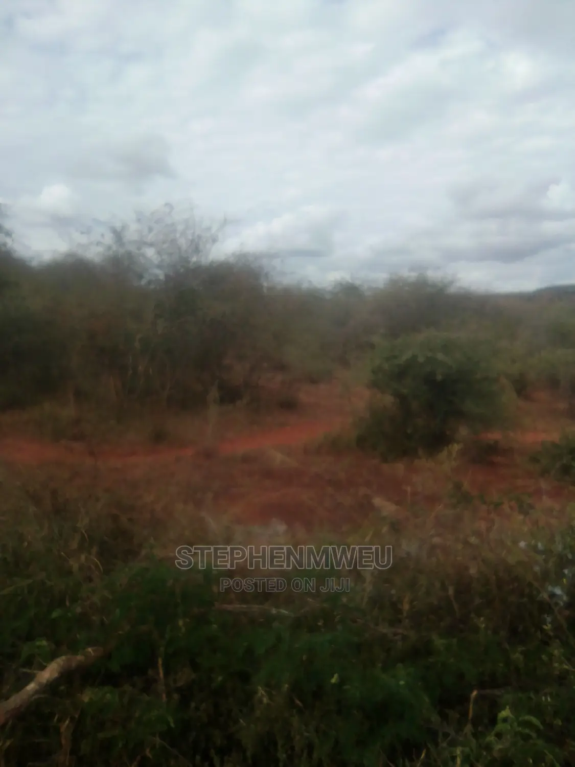 20 Acres for Sale