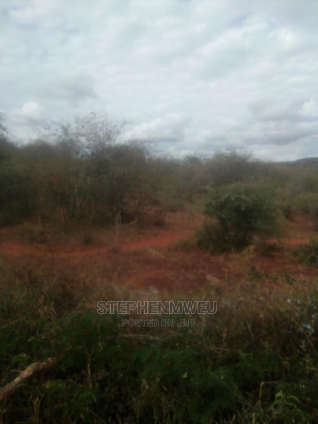 20 Acres for Sale - thumbnail 6