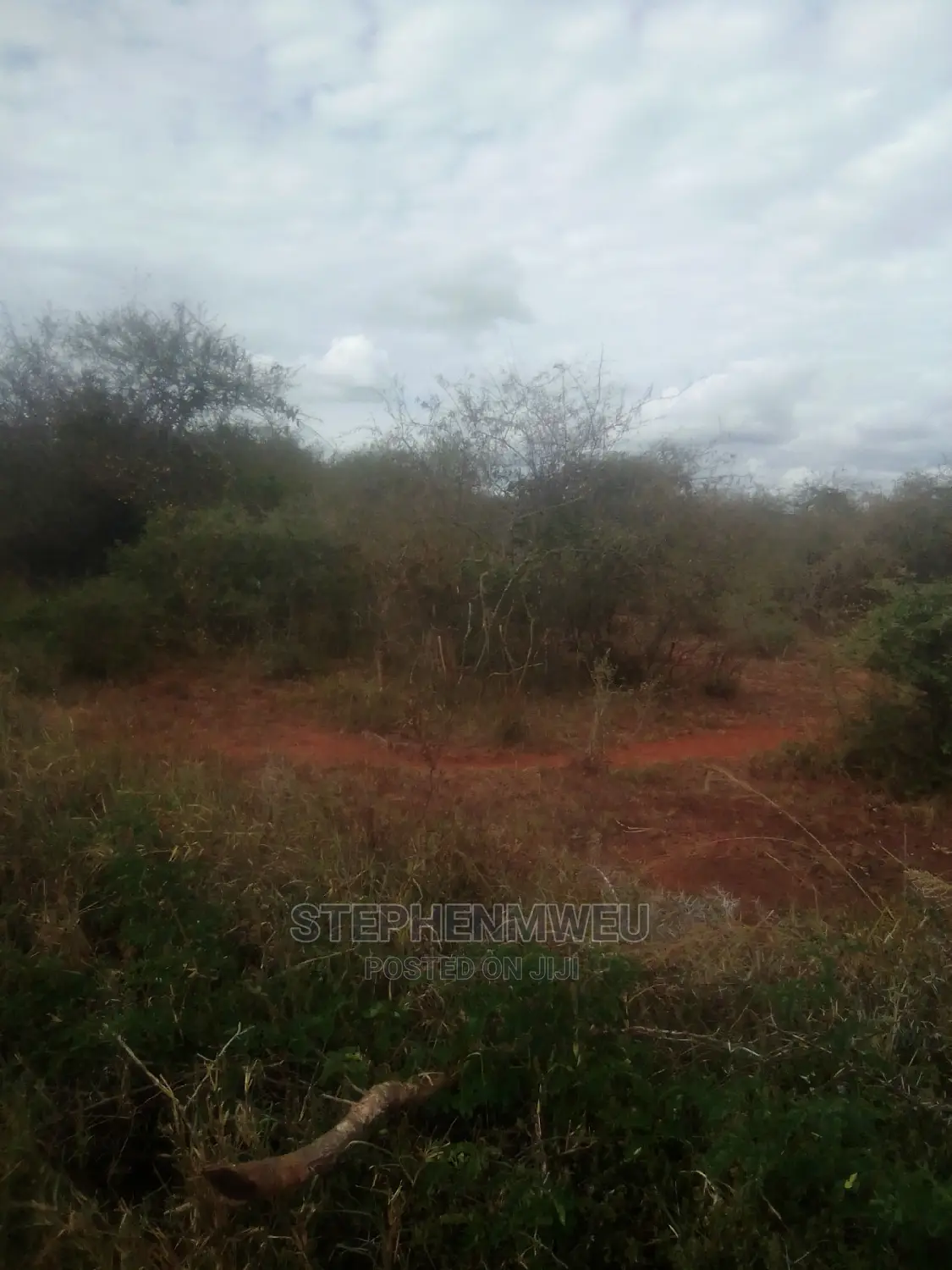 20 Acres for Sale