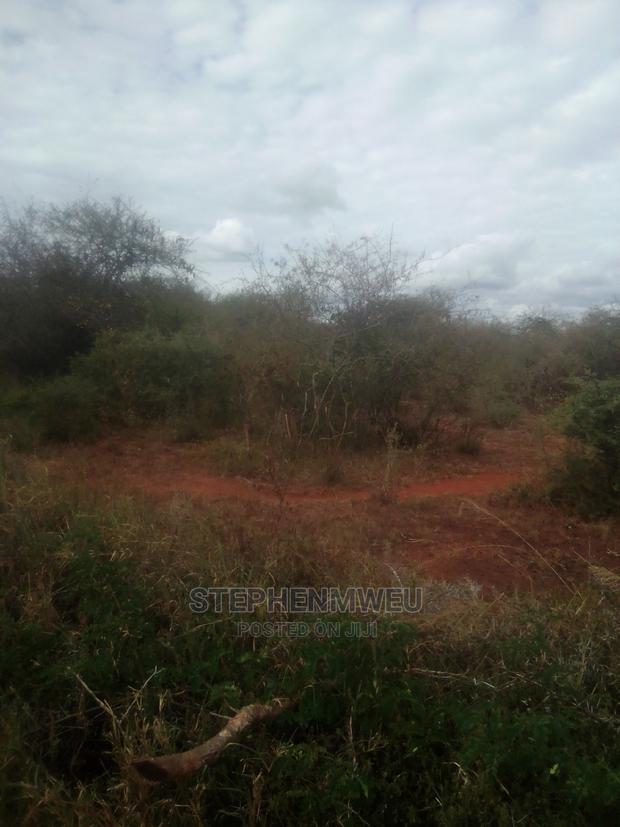 20 Acres for Sale - thumbnail 7