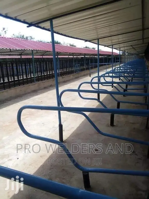 Dairy Cubicles