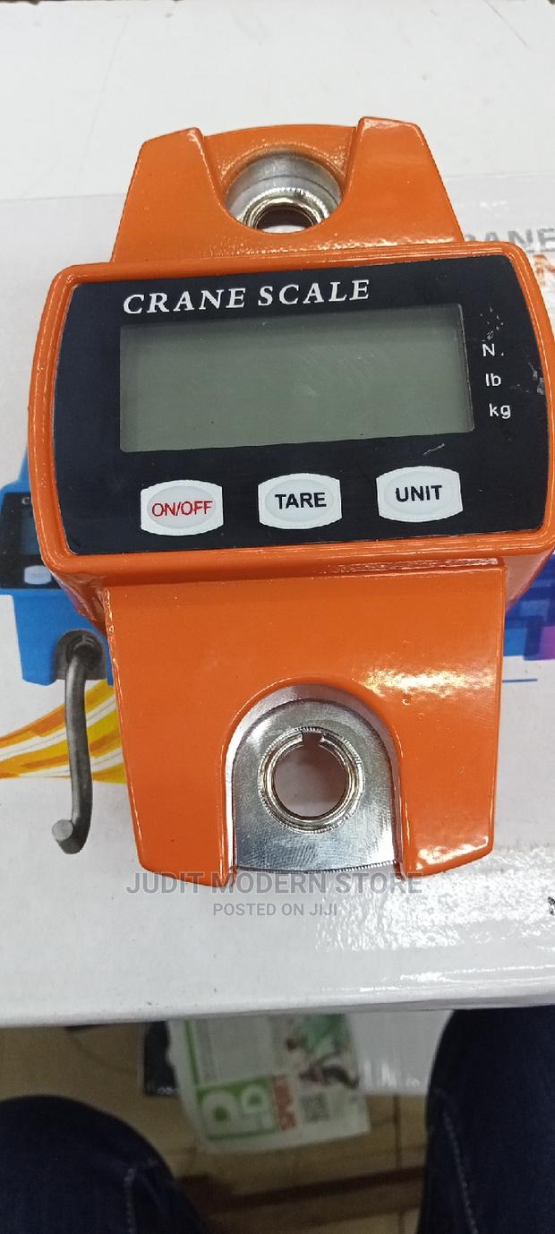 Mini Crane Scale 300kg - main view