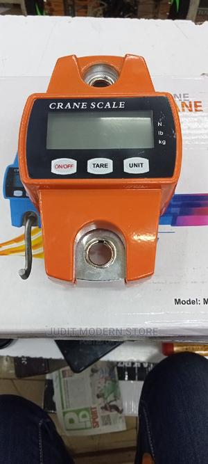 Mini Crane Scale - main view