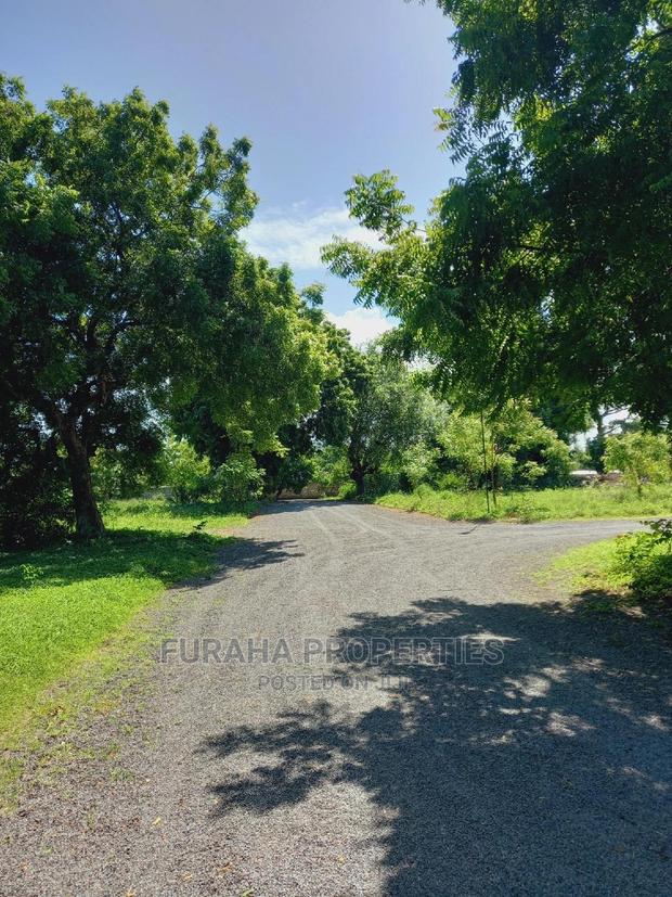 For Sale Quater/Half Acre Plots Mtwapa - thumbnail 4