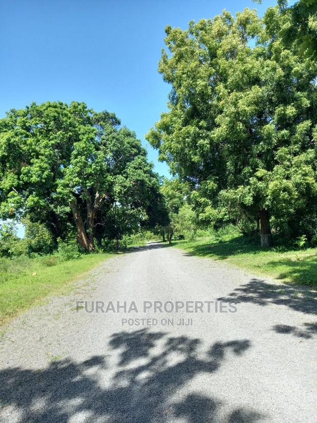 For Sale Quater/Half Acre Plots Mtwapa - thumbnail 5