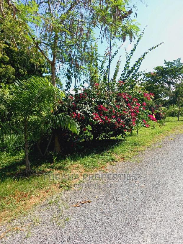 For Sale Quater/Half Acre Plots Mtwapa - thumbnail 6