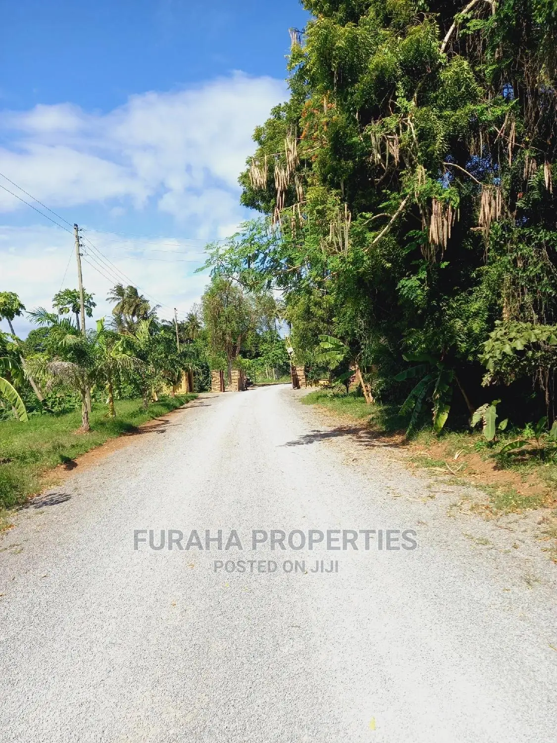 For Sale Quater/Half Acre Plots Mtwapa
