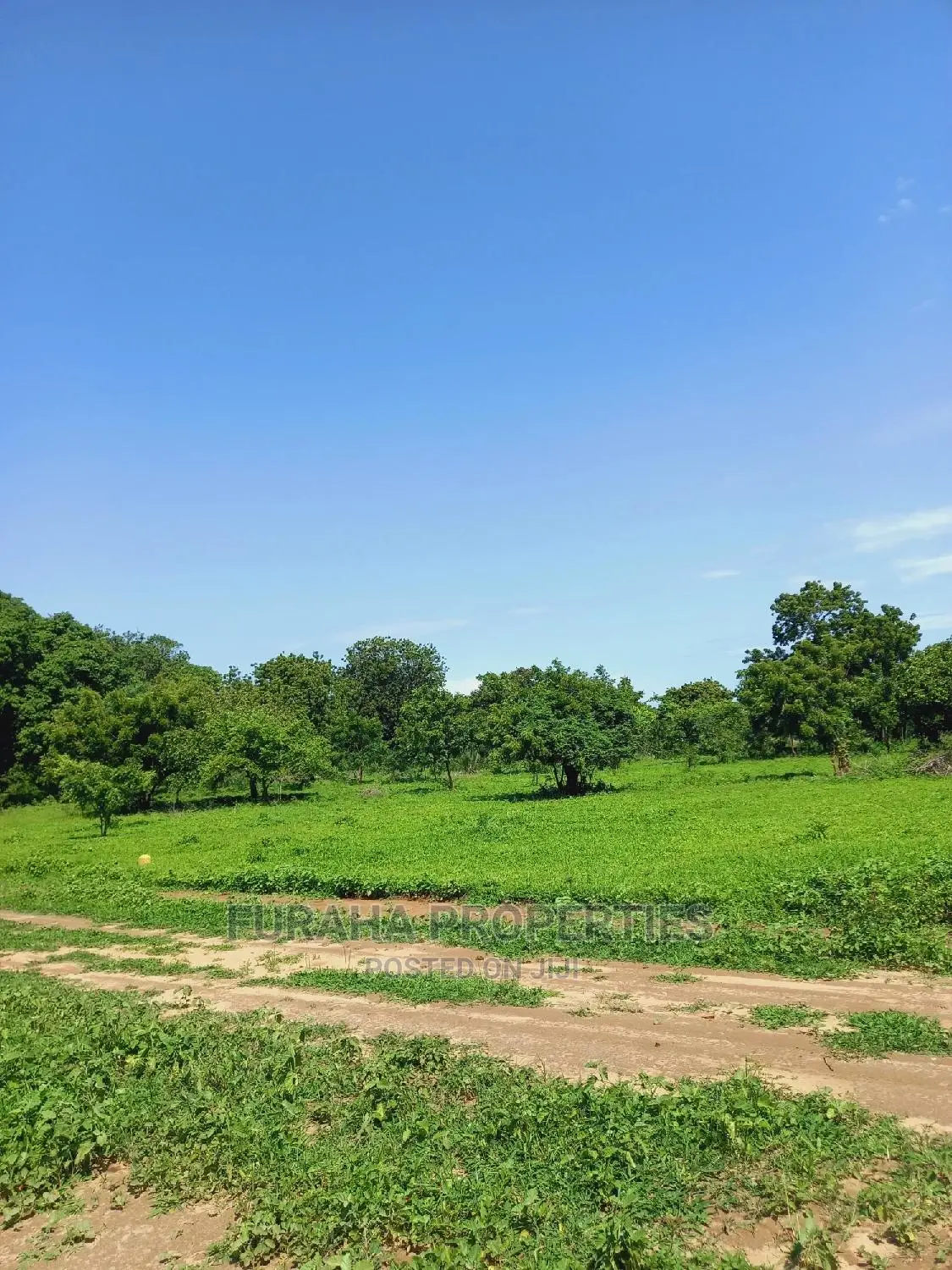 For Sale Prime Residential Plots Vipingo