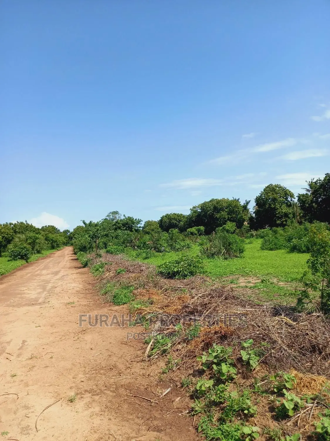 For Sale Prime Residential Plots Vipingo