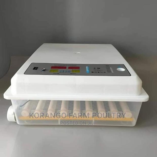 Solar 64 Ac/Dc Eggs Incubator