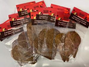 Almond Leaves - thumbnail 2