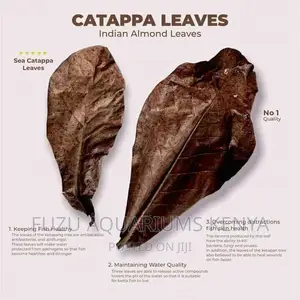 Almond Leaves
