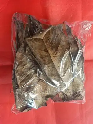 Almond Leaves