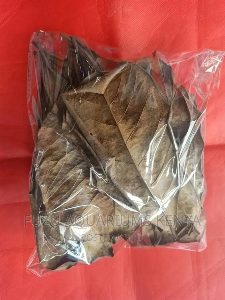 Almond Leaves