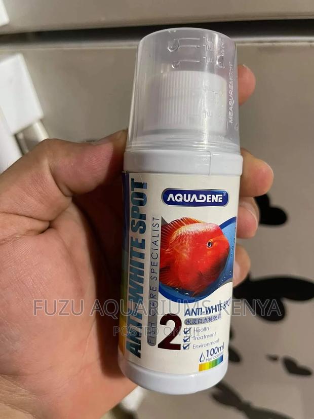 White Spot Medicine - main view