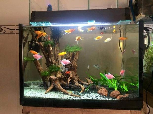 Driftwood Aquarium (Original) - main view