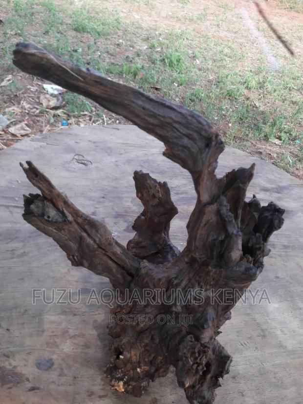 Driftwood Aquarium (Original) - thumbnail 4