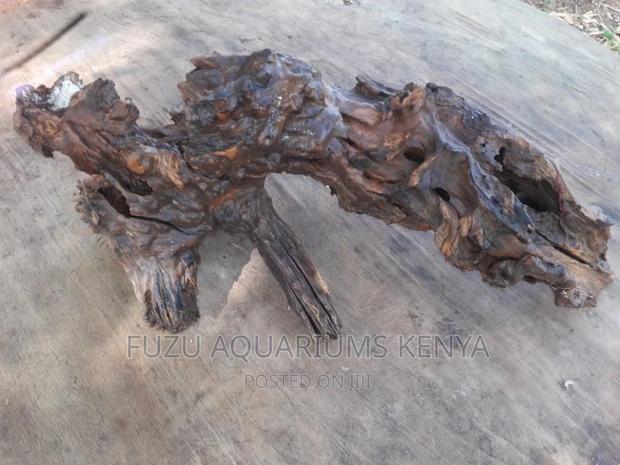 Driftwood Aquarium (Original) - thumbnail 3