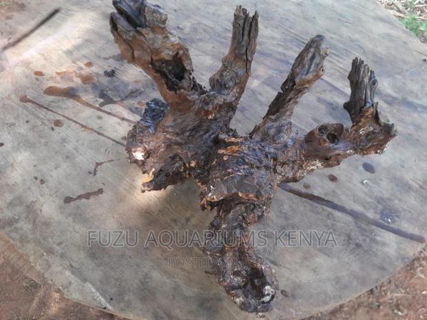 Driftwood Aquarium (Original) - thumbnail 5
