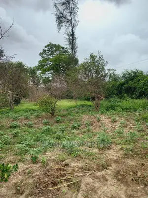 For Sale 4 Acre Agricultural Land Kikambala