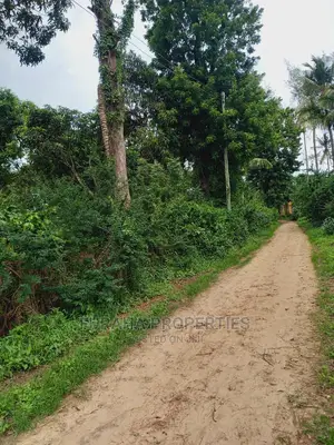 For Sale 4 Acre Agricultural Land Kikambala