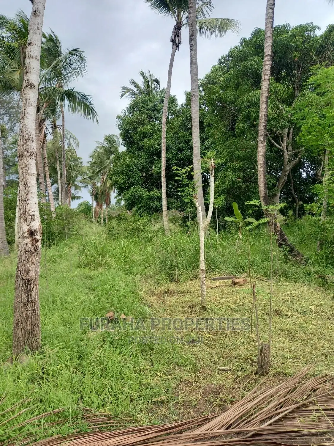 For Sale 4 Acre Agricultural Land Kikambala