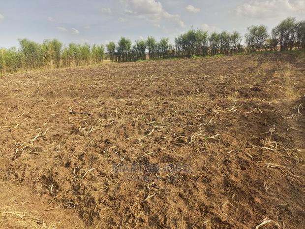 1/4 Acre in Witeithie ( Kandara Investment)