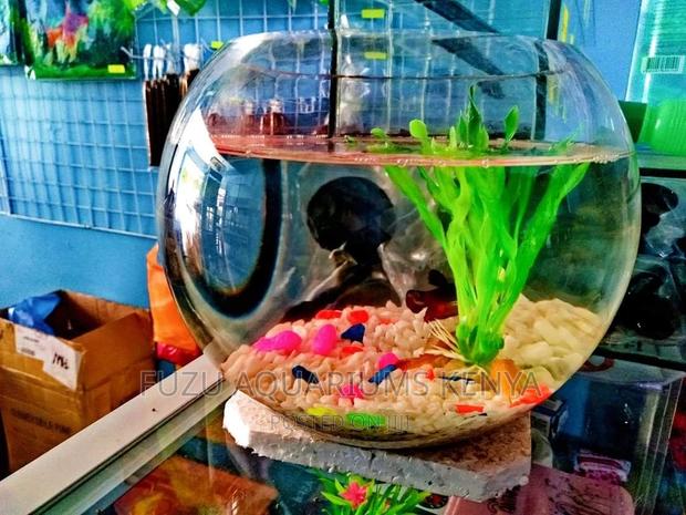 Fishbowl - Big - main view