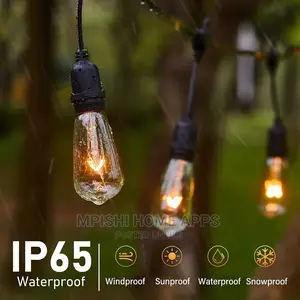 String Lights 10m With Bulbs