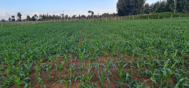 1 Acre Land for Sale in Chepkoilelkapndani in Eldoret